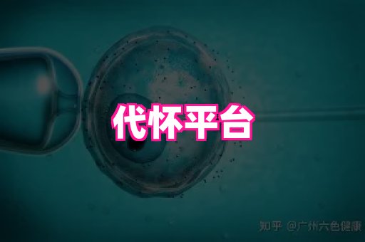 nub孕网 2
